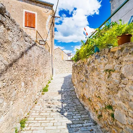 - Biograd Riviera 7997 Turanj