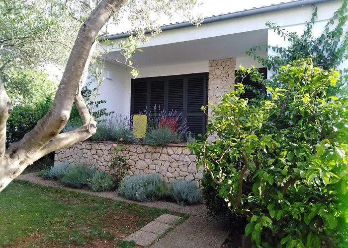 - Biograd Riviera 7997 Turanj